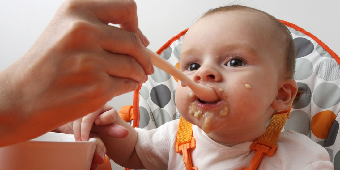 Baby's First Foods: A Guide to Introducing Solids