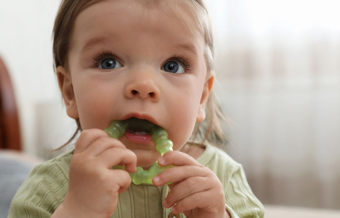 The Importance of Teething Toys: 8 Key Benefits for Your Baby
